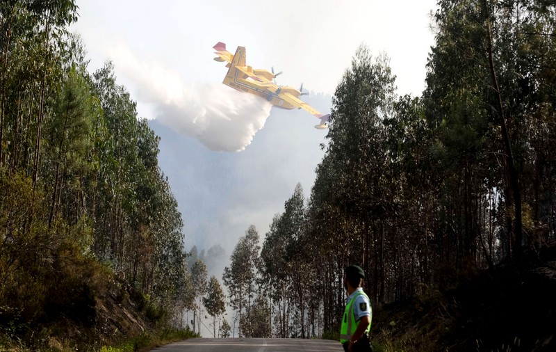 Incendii în Portugalia | Un avion folosit la stingerea incendiilor s-a prăbușit