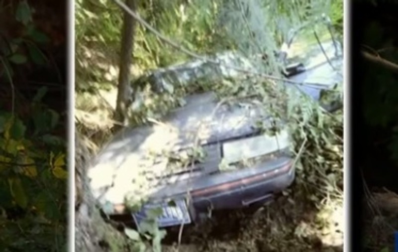 O femeie în vârstă de 70 de ani a supraviețuit cinci zile în mașină, după ce s-a răsturnat într-o râpă