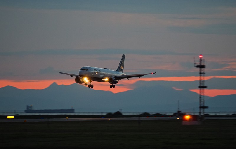 Un şobolan a fost filmat în timp ce alerga prin plafonul luminos al unui avion JetBlue, chiar deasupra capetelor pasagerilor: „Am fost șocată”