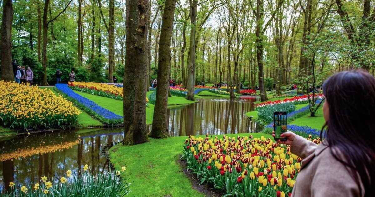 Grădina din Olanda vizitată anual de 2 milioane de turiști