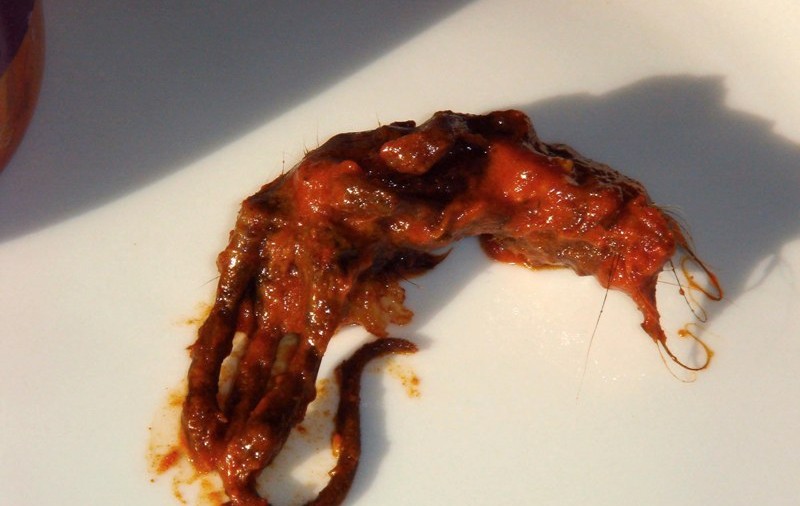 Sosul curry “condimentat” şi cu... un şoricel