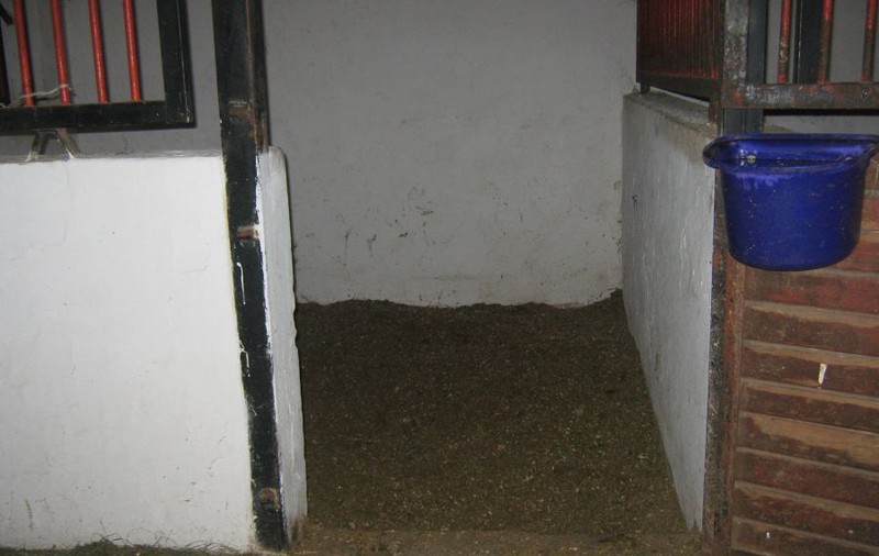 ŞOCANT! Un copil de UN AN şi PATRU LUNI, crescut în GRAJD, a MURIT DE FOAME!