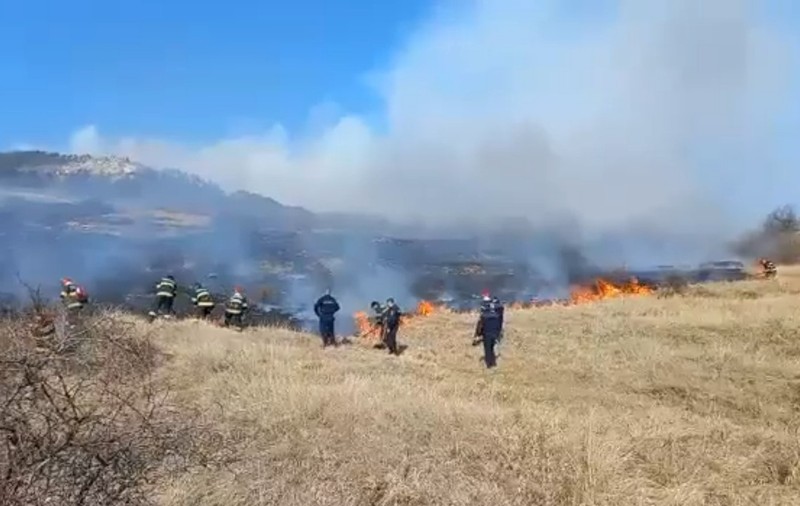 Incendiu puternic de vegetație într-o comună din judeţul Buzău, o suprafaţă de 10 hectare este afectată