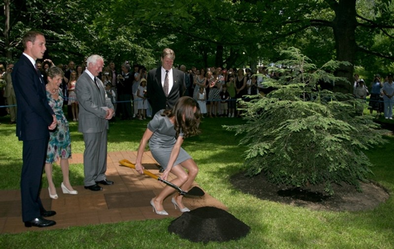 Foto&Video | Kate și William au plantat copaci în Canada