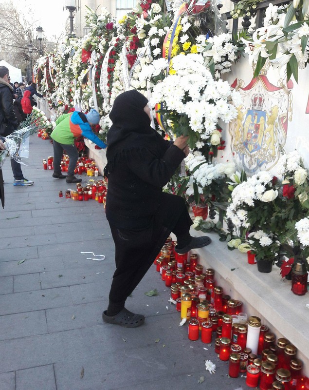 Scandal la gardul Palatului Regal. Femeie acuzată că fură florile VIDEO