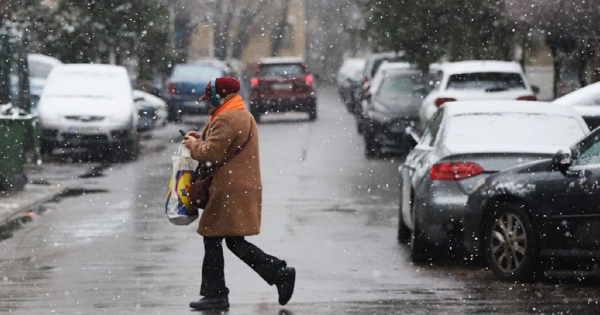 O persoană îmbrăcată într-o haină maro și o căciulă roșie merge pe o stradă acoperită de zăpadă și udă, ținând în mână pungi de cumpărături, înconjurată de mașini parcate și copaci fără frunze.