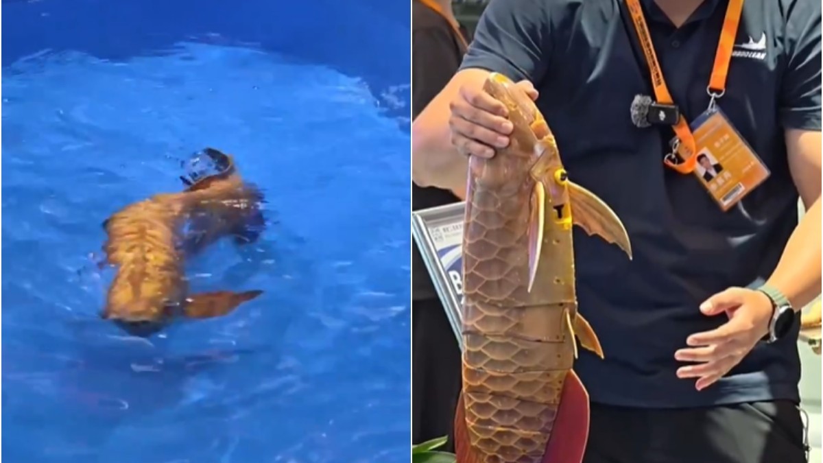 China a dezvăluit un robot subacvatic revoluționar, modelat după forma unui pește arowana aurie, care poate naviga autonom prin apă. Sursă foto X/ China Xinhua News
