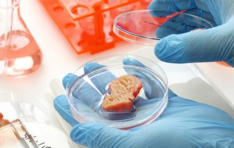 Singapore, prima în cursa pentru producția de carne artificială. Cât costă o jumătate de kilogram