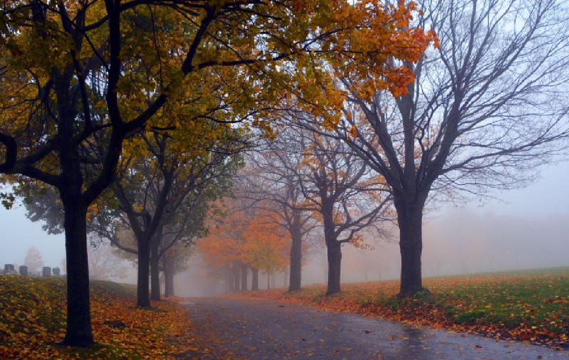 Cum va fi vremea în perioada 10-23 noiembrie 2025. Prognoza meteo anunță temperaturi neobișnuite