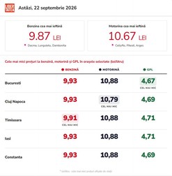 Infografic realizat cu ajutorul Inteligenței Artificiale