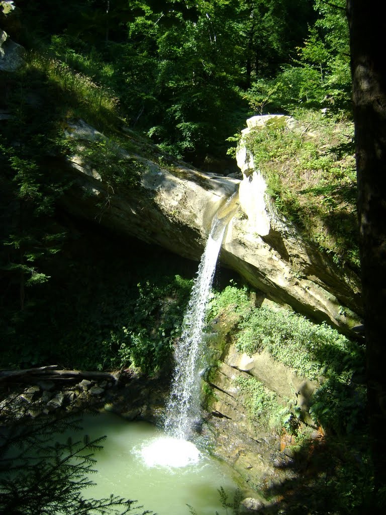Arhiva foto