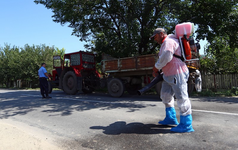Libertatea vă prezintă harta oficială a extinderii epidemiei de pestă porcină, din această dimineață. Numărul focarelor a ajuns la 619 și cel al localităților afectate la 104!