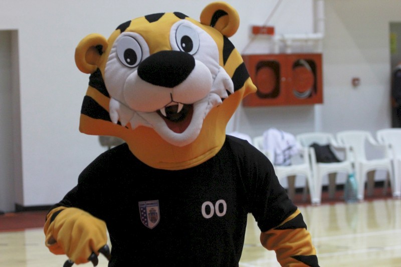 Arhiva foto