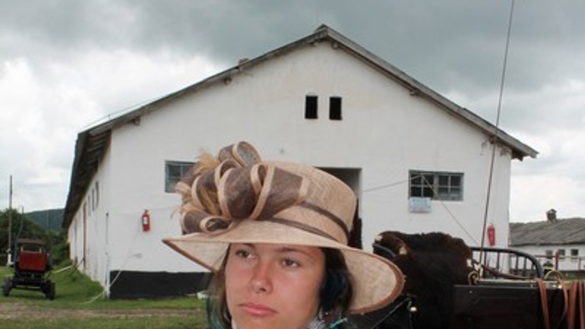Arhiva foto