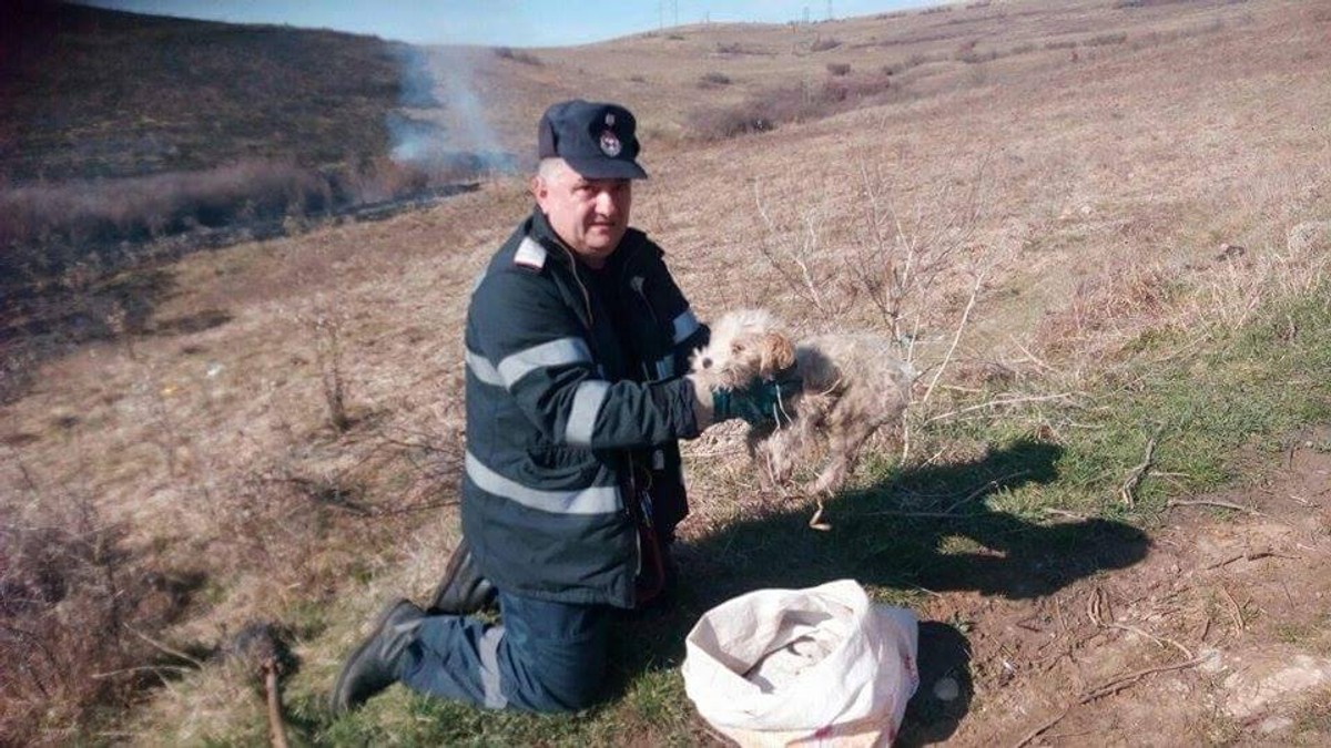 Un cățel a fost salvat dintr-un incendiu de vegetație un pompier din Hunedoara