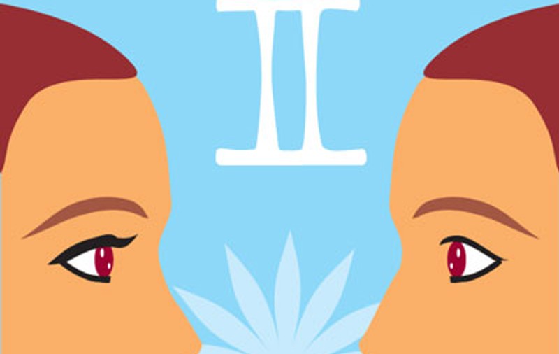 Gemenii iau decizii