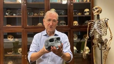 antropologul Chris Stringer