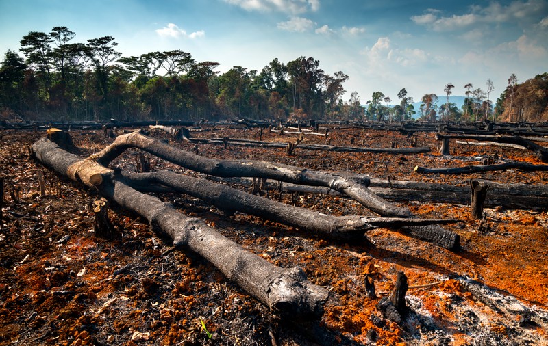 „Umanitatea a devenit o armă de extincție în masă”. ONU cere „un pact de pace cu natura” la COP15