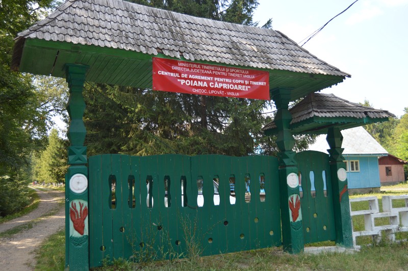 Arhiva foto