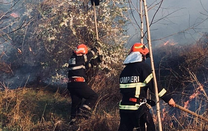 Incendiu în Rezervaţia Delta Dunării. Peste 250 hectare au fost transformate în scrum