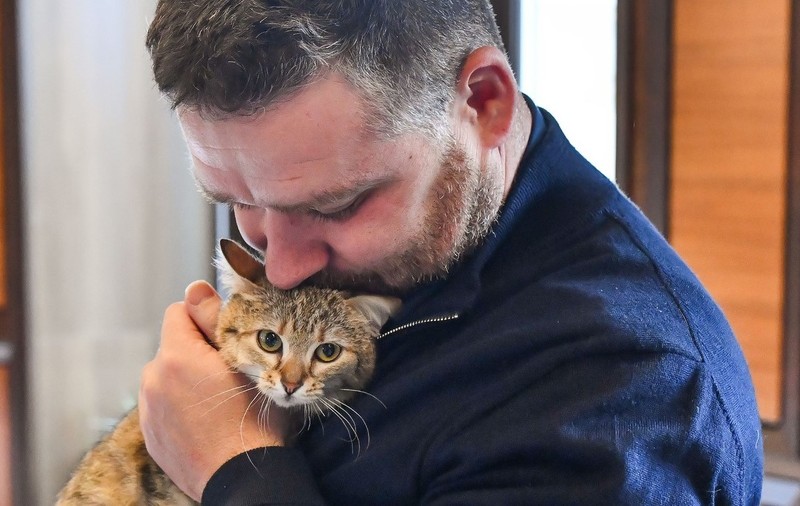 Ciprian Ciucu are acum o pisică și la Primăria București: a fost găsită abandonată și lovită de mașină