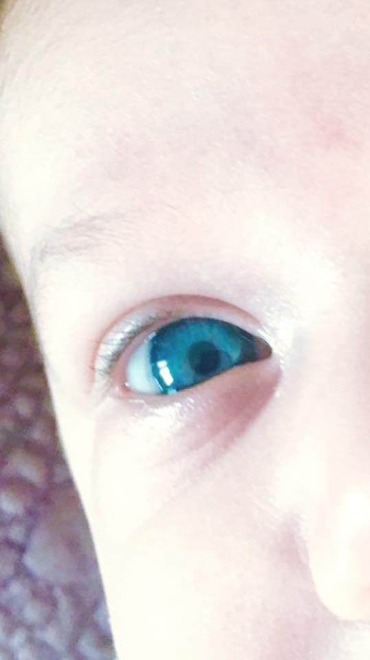 Arhiva foto