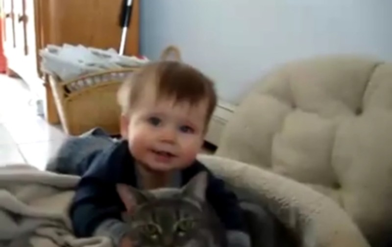 LIKE, LIKE, LIKE! Uite câtă IUBIRE există între un copilaş şi o pisică | VIDEO