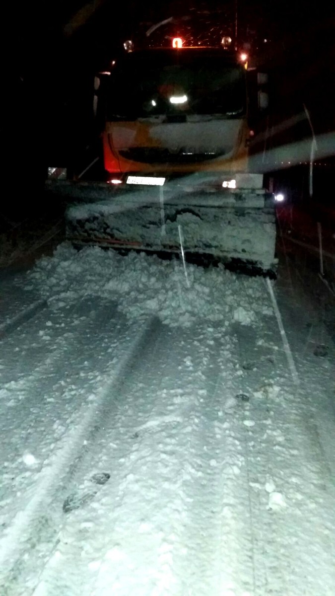 Abonați fără electricitate, maşini blocate şi copaci căzuţi, în urma ninsorii .