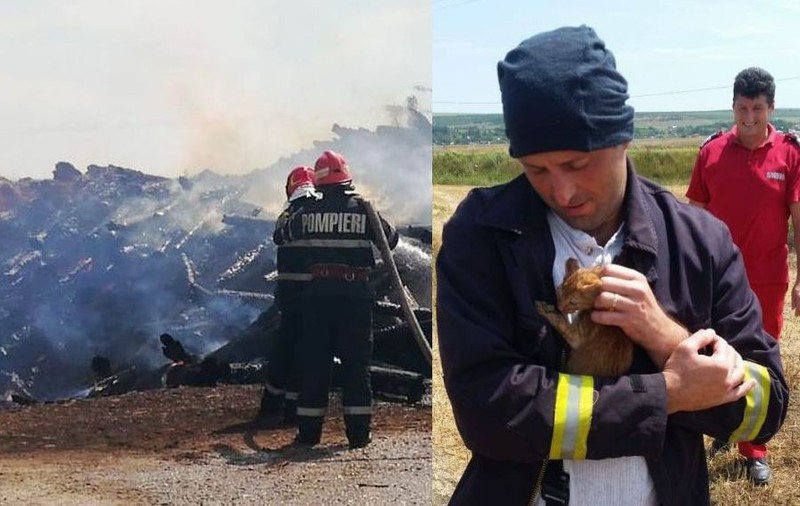 FOTO | Povestea impresionantă a unor pompieri vasluieni, care au salvat, riscându-și viața, trei pui de pisică dintr-un incendiu puternic