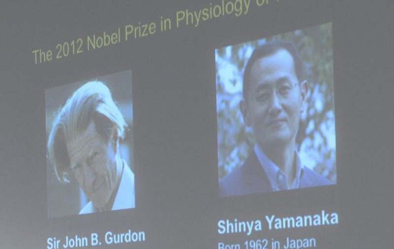 Premiul Nobel pentru Medicină, câștigat de un britanic și un japonez. Află pentru ce!