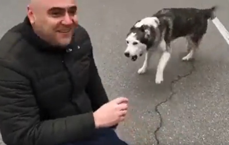 VIDEO | Momentul în care un bărbat din Bucha își reîntâlnește câinele pe care îl pierduse în timpul atacurilor ruse