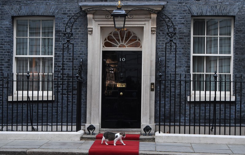 Cursa pentru Downing Street, lansată oficial. Opt candidați vor să-l înlocuiască pe Boris Johnson