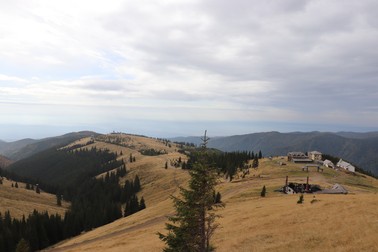 Vârful lui Roman
