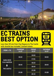 Colaj realizat de Măcicăşan Tudor pe pagina sa de Facebook, care a atras atenția și asupra transportului pe diesel folosit pentru ca participanții să ajungă la festival