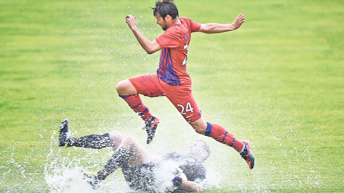 Arhiva foto