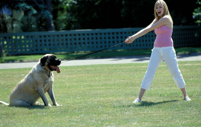 16 lucruri inevitabile de care ai parte atunci când îți duci câinele în parc