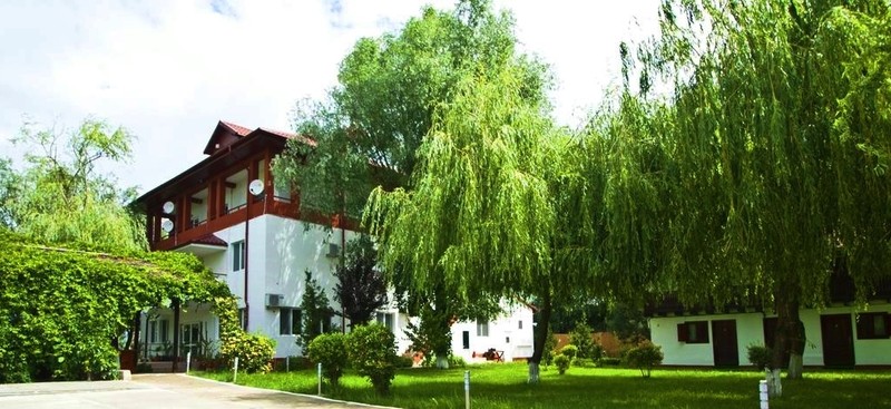 Arhiva foto