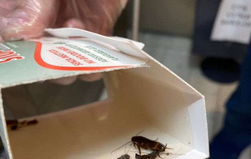 Produse expirate, mizerie și gândaci. Ce au găsit inspectorii ANPC în mai multe supermarketuri din Ploieşti