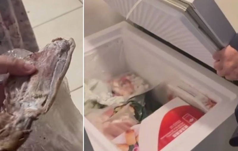 Gândaci, mâncare expirată și mizerie într-un depozit al unui restaurant chinezesc din București, în care comisarii ANPC n-au fost lăsați să intre acum câteva zile | VIDEO