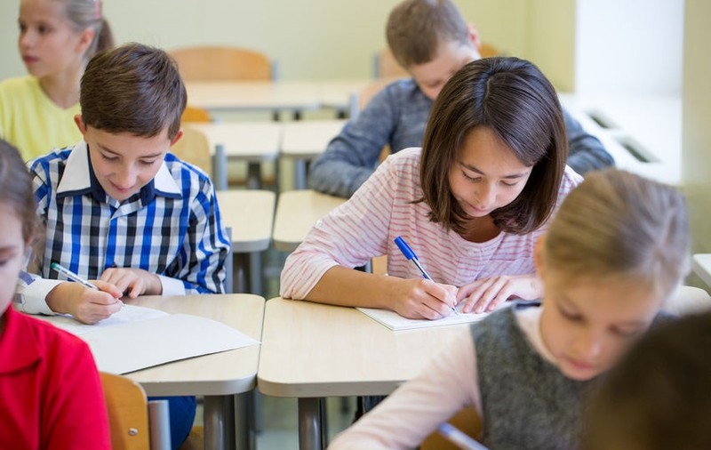 Evaluarea Națională 2019 la Română. Sfaturi pentru rezolvarea subiectelor. Cum pot fi evitate cele mai frecvente greșeli