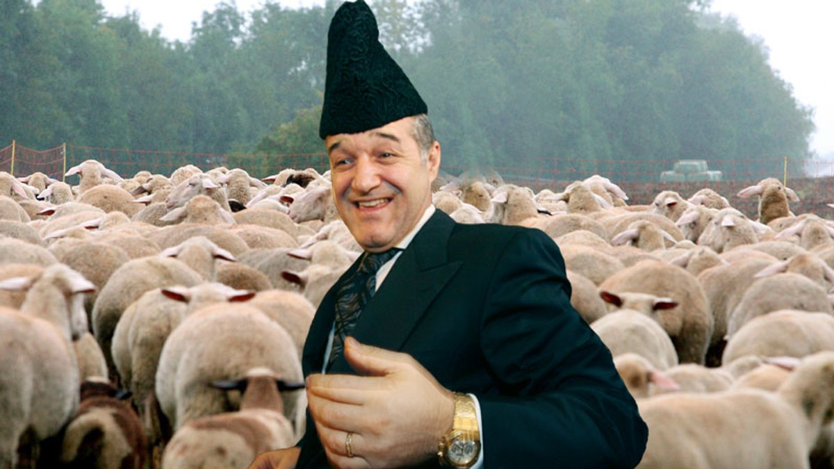 Arhiva foto