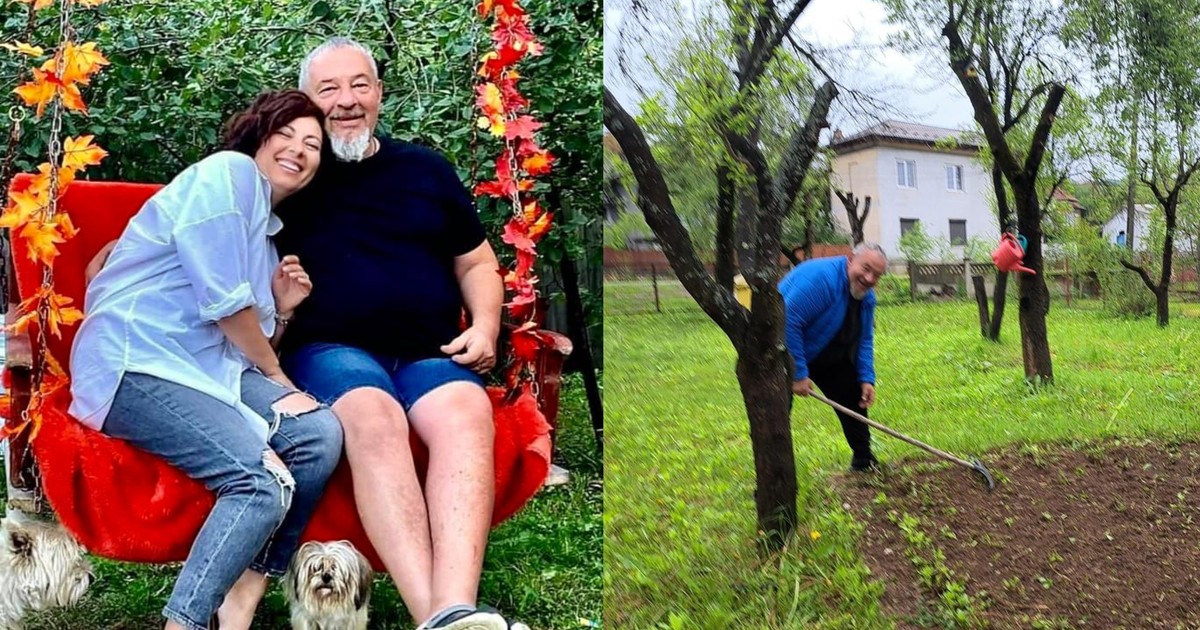 Bodo - imagini casă