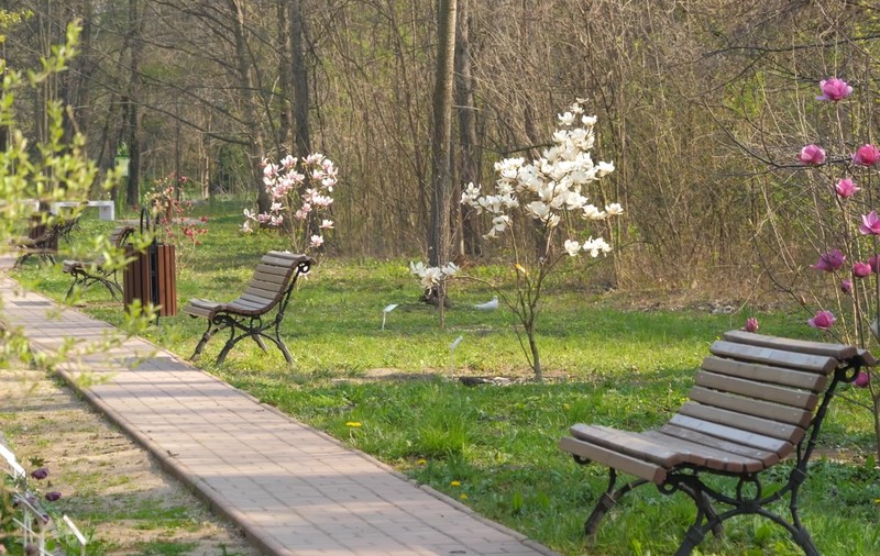 Primăvara de care avem nevoie, imagini pentru suflet. Pentru că nu puteți ajunge la Grădina Botanică în acestă perioadă, Libertatea v-o aduce acasă