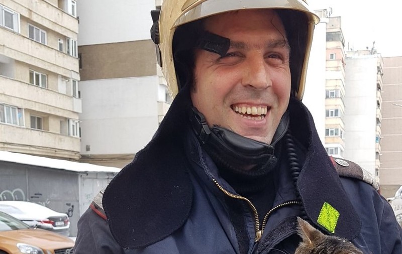 Pui de pisică salvat de pompierii din Bacău dintr-un apartament în flăcări| GALERIE FOTO
