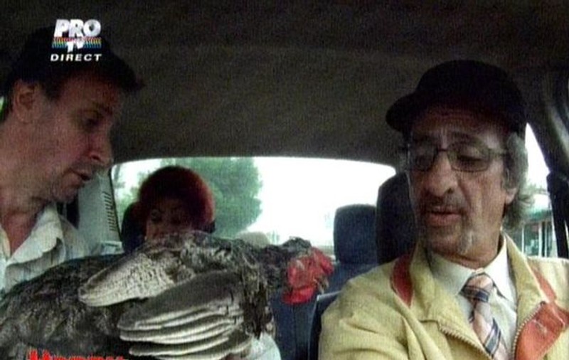 Elena Merişoreanu, colegă de taxi cu nişte...GĂINI | FOTO