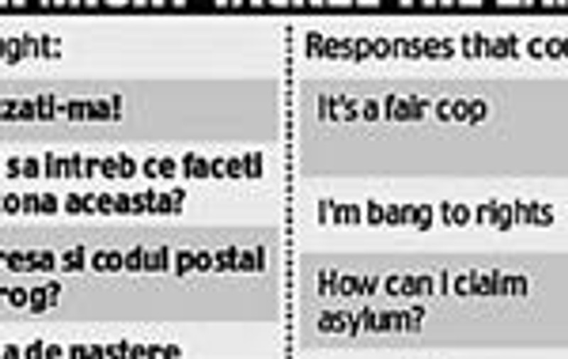 Politistii britanici au primit ghiduri de conversatie in limba romana
