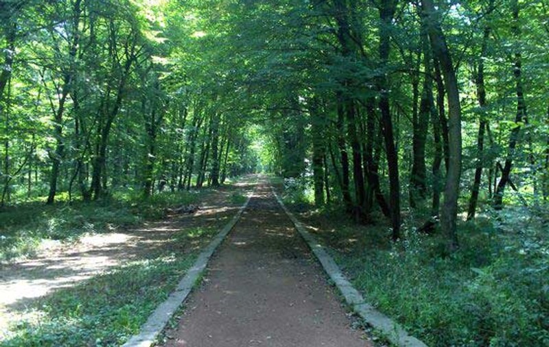 Turist jefuit în Băile Felix, ademenit cu o partidă de amor în grup
