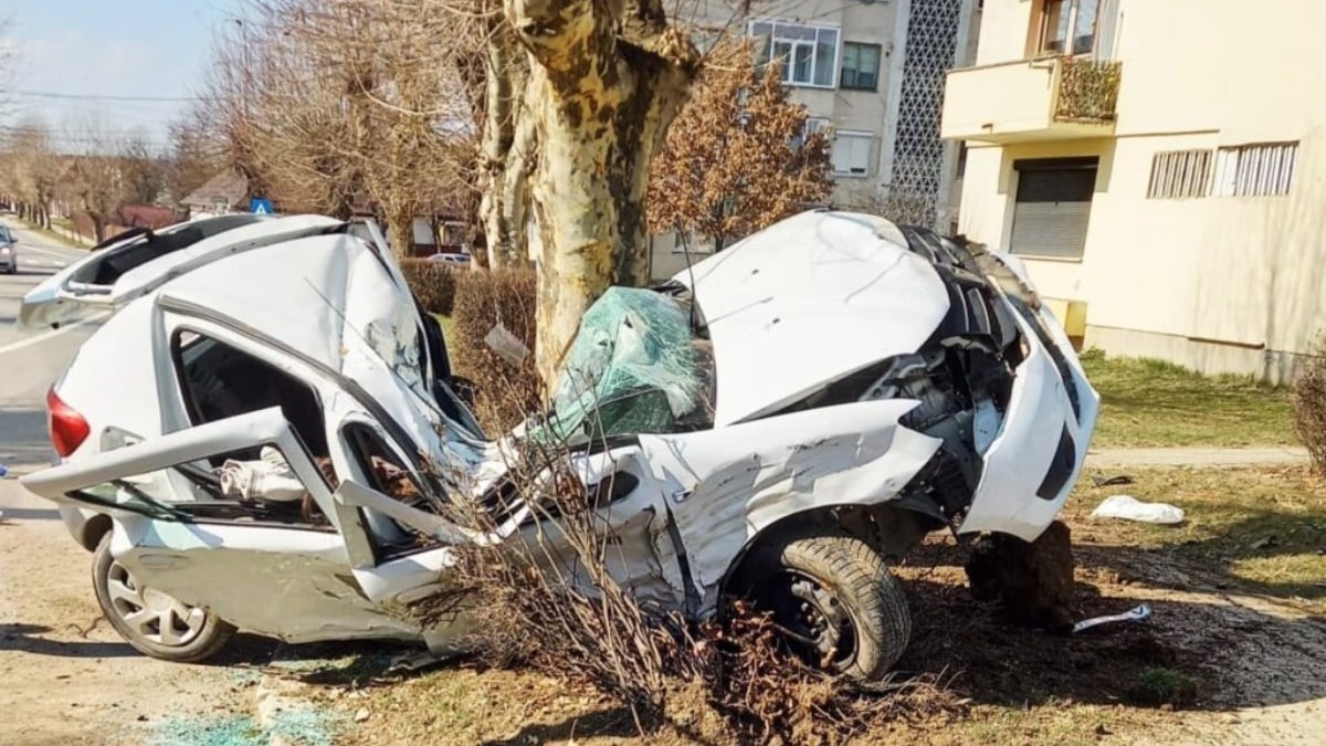 O mașină albă, strivită de trunchiul unui copac