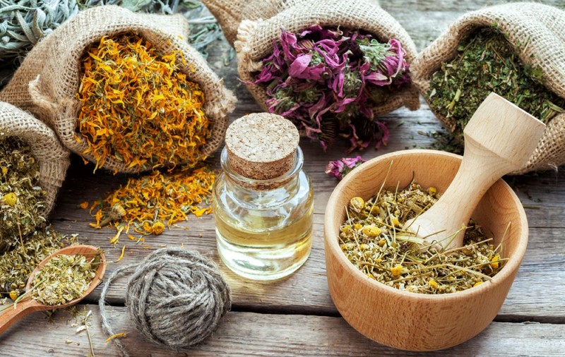 Calendarul culegerii plantelor medicinale