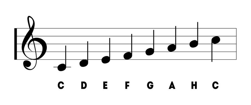 Notele muzicale